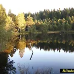 Kaltenbach Daire *