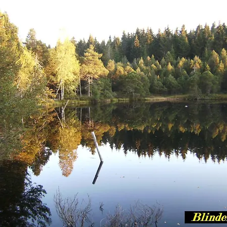 Kaltenbach 아파트 *