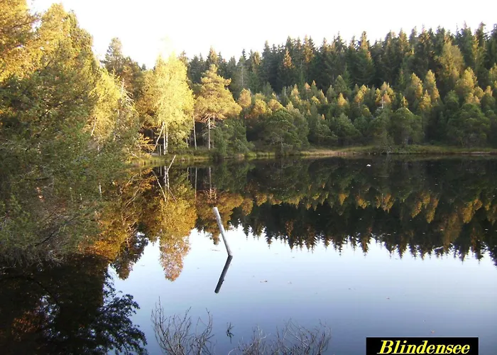 Kaltenbach Apartamento *